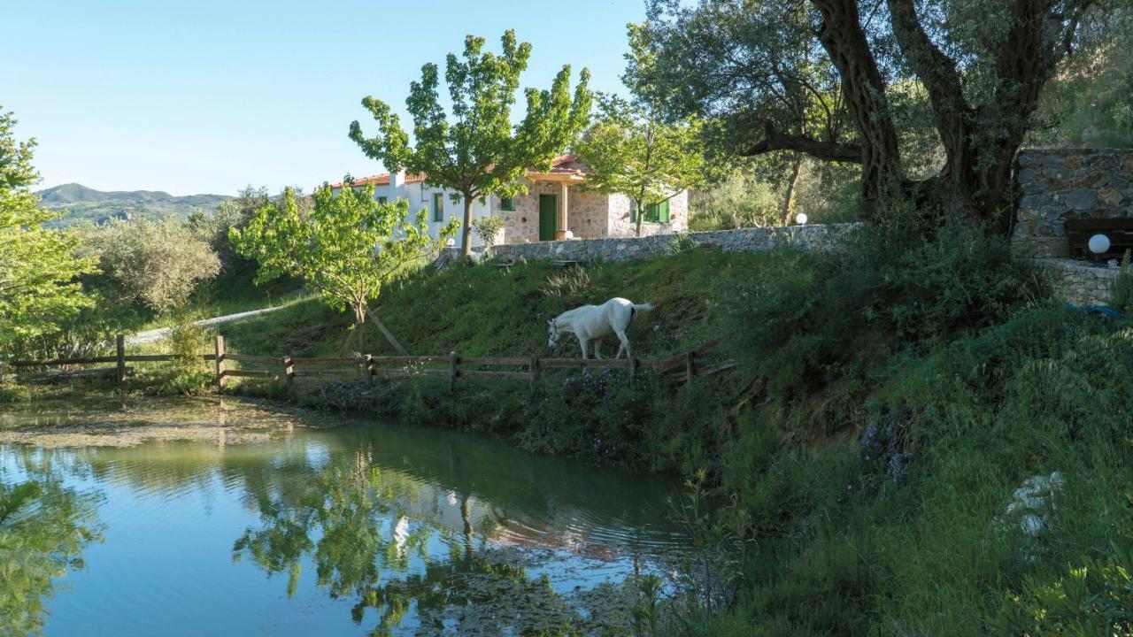 Villa Elia Lambiní Exterior foto